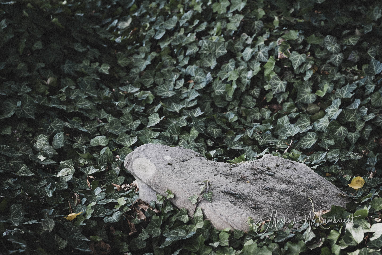 Peckelsheim, Jüdischer Friedhof